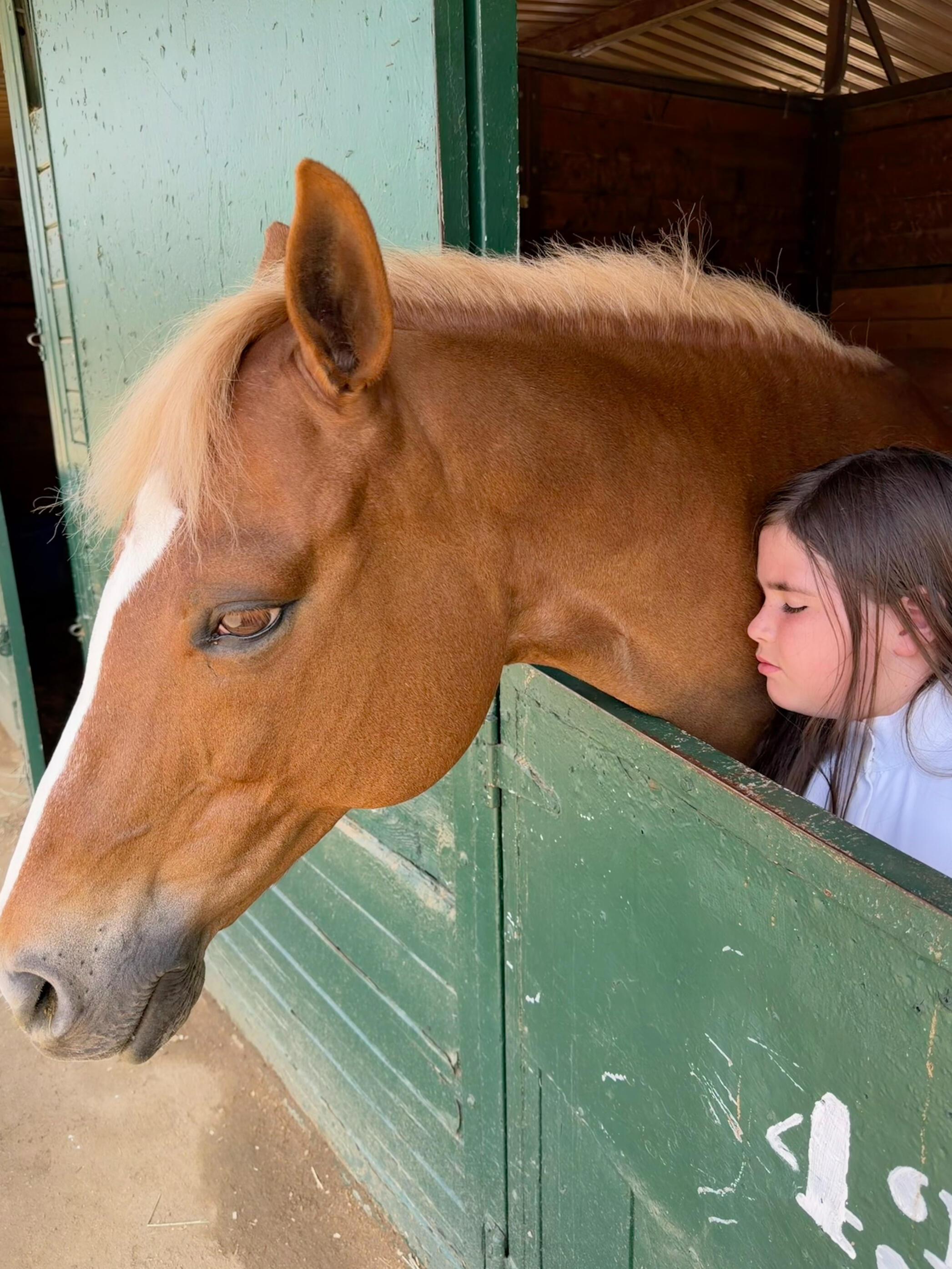 Kate and Honey in her stall at LAEC